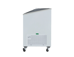 UDD 300 SCEB